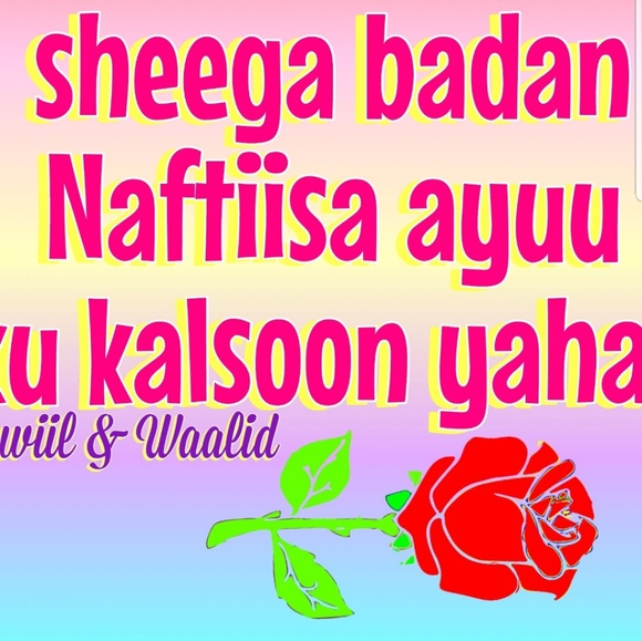 Meet your Posher, Hawo - Picture 1 of 1